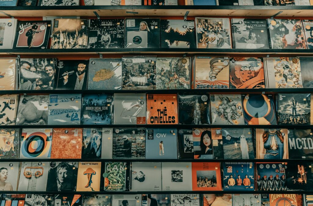 Rows of vinyl record albums displayed on wooden shelves in a music store
